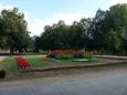 Widok na partery kwiatowe pośrodku promenady. Lato 2011 r. Fot. K. Wielgus.   